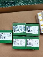 A9L040600-schneider-F28