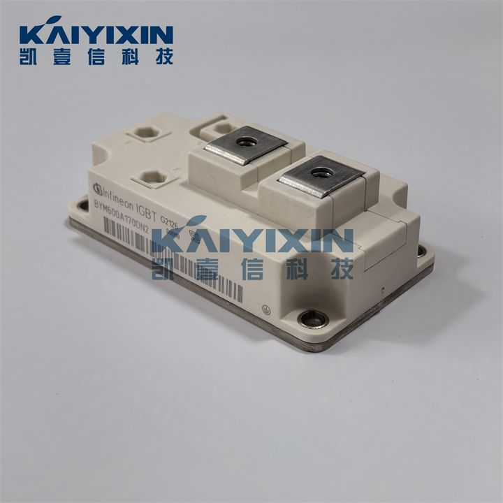 BYM600A170DN2-infineon-Ey9