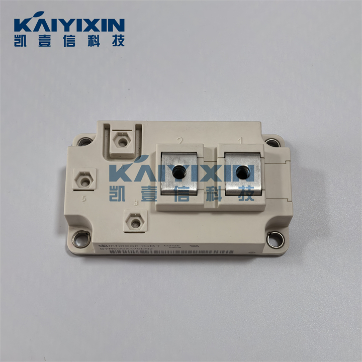BYM600A170DN2-infineon-HfG