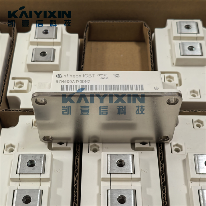 BYM600A170DN2-infineon-Vgc