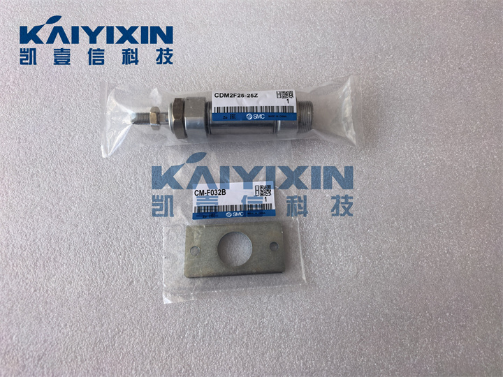 CDM2F25-25Z-M9BLS-SMC-Ayk