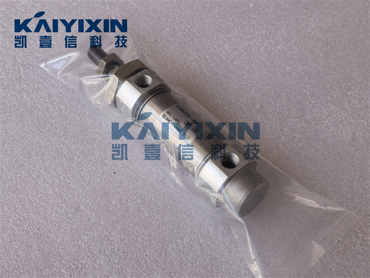 CDM2F25-25Z-M9BLS-SMC-dyl